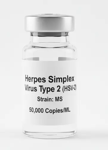 Herpes Simplex Virus Type 2 (HSV-2), Strain MS