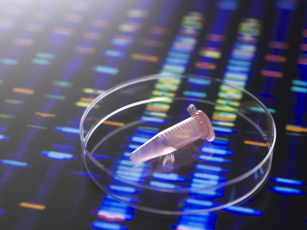 10.10 Horizontal DNA Gel Box