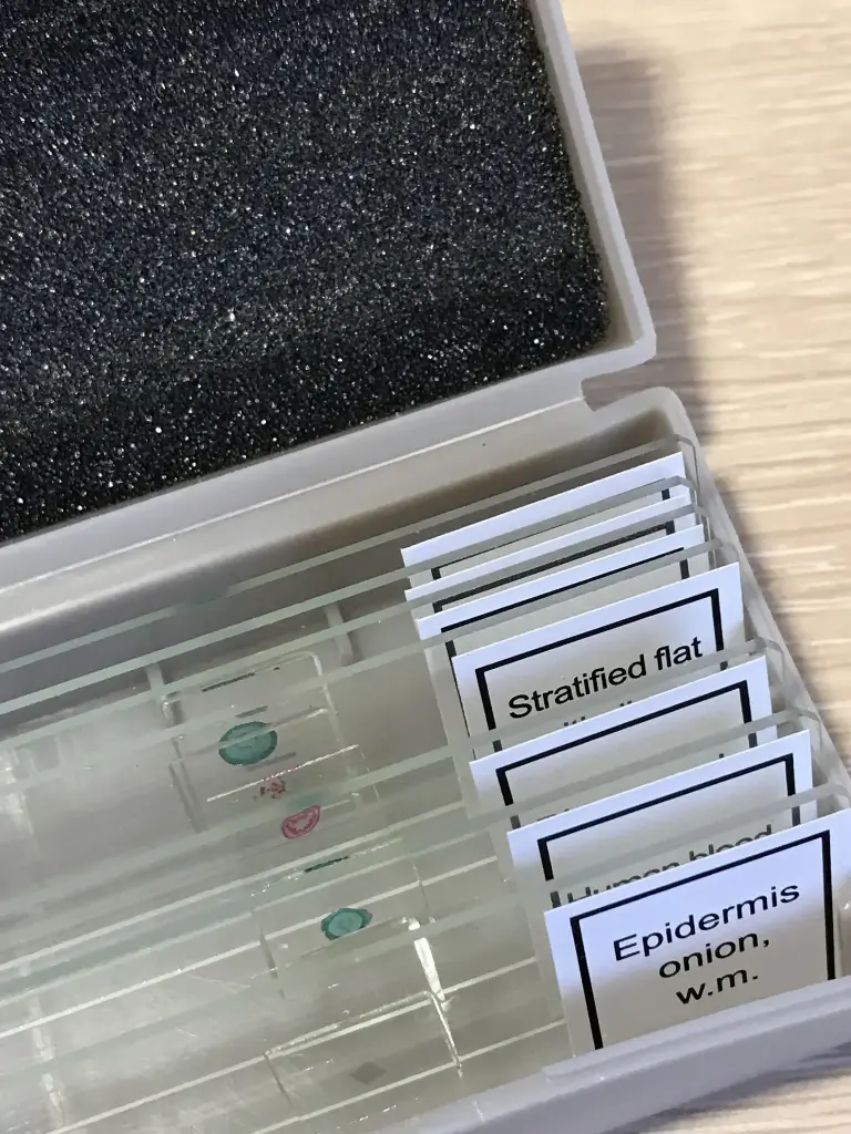 Positive Charged Microscope Slides for Cells, Frozen and Paraffin-Embedded Sections, Clipped Corne