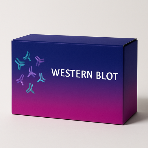 [WB-0039] WB Developing and Fixing Kit - 500 mL