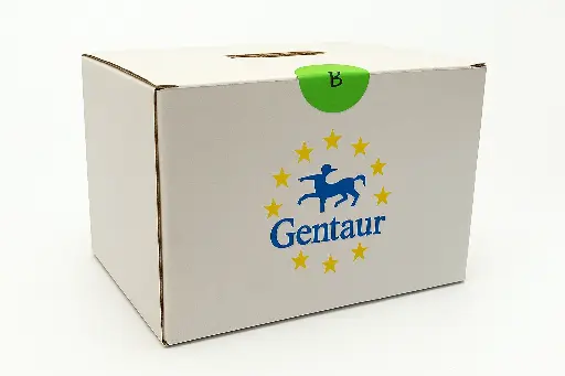 [FM-MS-TOROUNIT-P] TOROUNIT® qPCR Cycler Plus, 16 Wells